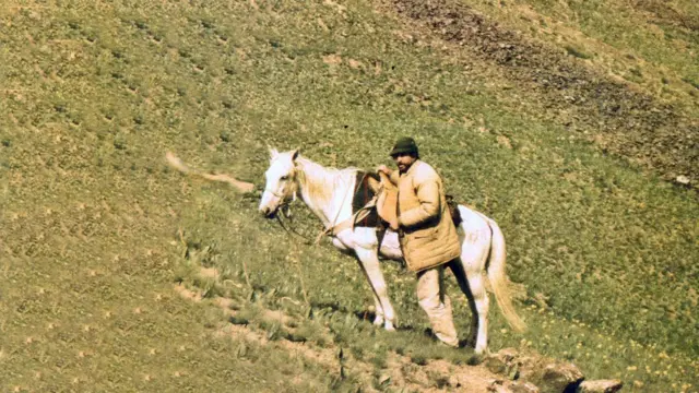 Павло Резвой