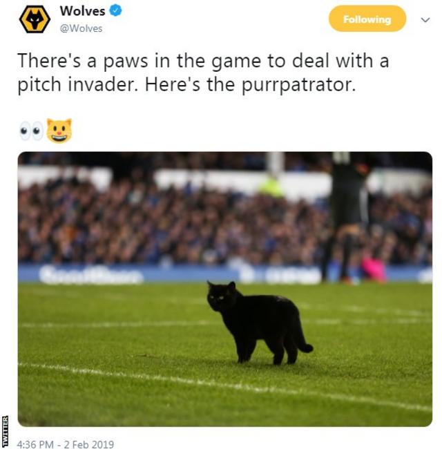 Everton cat Game held up for pitch invader as Wolves win BBC Sport