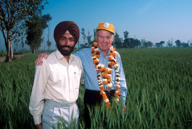 ਨੌਰਮਨ ਬੋਰਲੌਗ (ਸੱਜੇ) ਭਾਰਤ ਵਿੱਚ