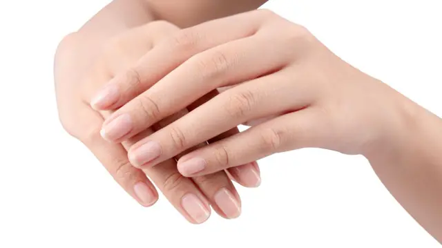 प्रतिकात्मक छायाचित्र