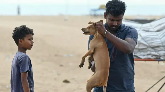 இந்தியாவில் தெரு நாய்களே இல்லையென்றால் நகரங்கள் என்னவாகும்?