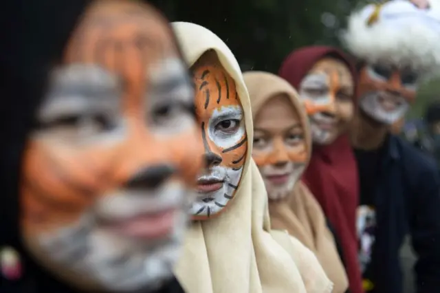 kampanye hari harimau