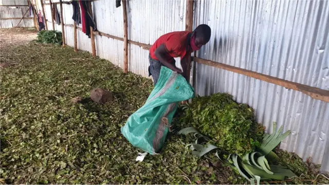 Xayiraadda khaadka waxaa ka dhashay shaqo la'aan.