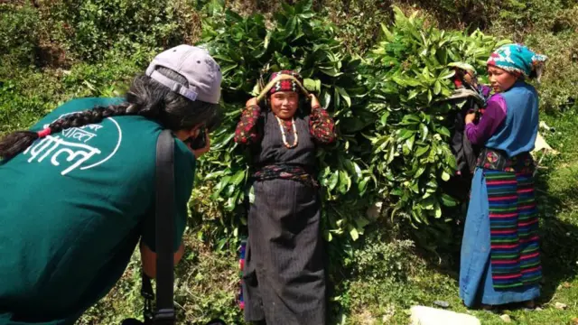 अमृत गुरुङ