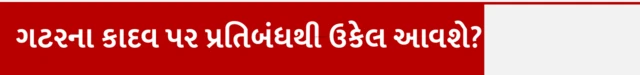 શાકભાજી, ગાજર, કંદમૂળ, માઇક્રોપ્લાસ્ટિક, હેલ્થ, બીબીસી ગુજરાતી