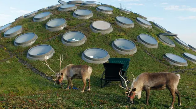 این باغ بام یکی از بزرگ‌ترین نمونه‌های جهان است.