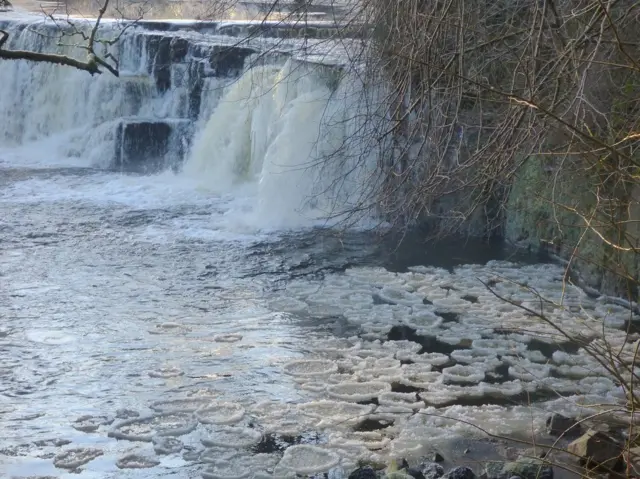 Ice discs in Linn Park, Glasgow