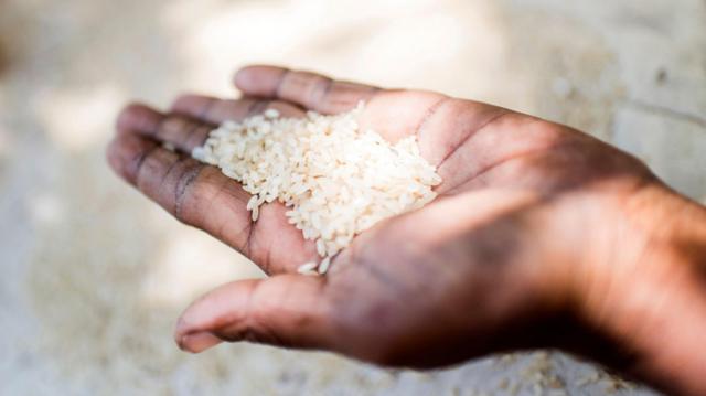 தமிழ்நாட்டில் அரிசி விலை உயர்வுக்குக் காரணம் என்ன? வரும் நாட்களில் குறையுமா?