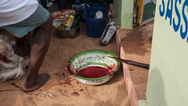 La sangre de una cabra sacrificada para una ceremonia de vudú