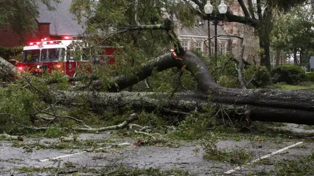 Un árbol caído en Wilmington, Carolina del Norte, tras el paso del huracán Florence
