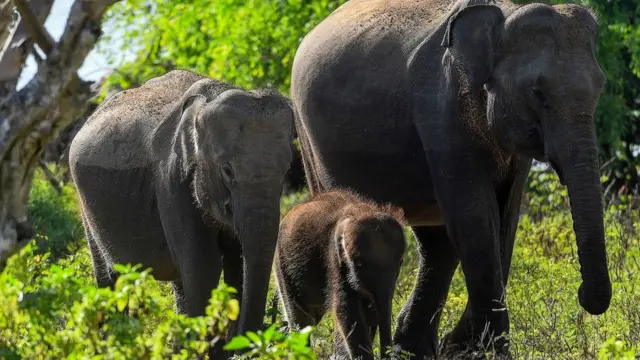 இலங்கை சுற்றுலா