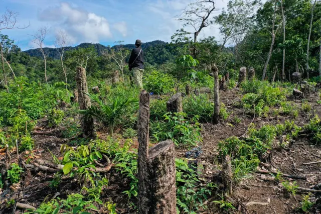Kelurahan Hutanabolon, Kecamatan Tukka, Tapanuli Tengah, Sumatra Utara, Senin (8/12/2025).