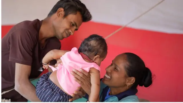 क्रिकेट