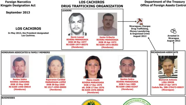 Organigrama de "Los Cachiros".