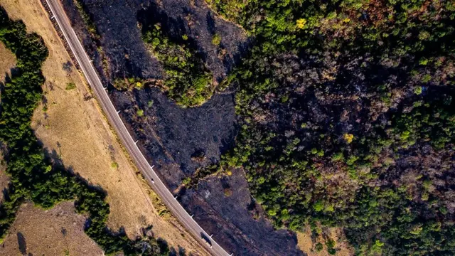 "அமேசான் காடு உலகின் நுரையீரல் இல்லை": பிரேசில் அதிபர் ஐ.நாவில் உரை