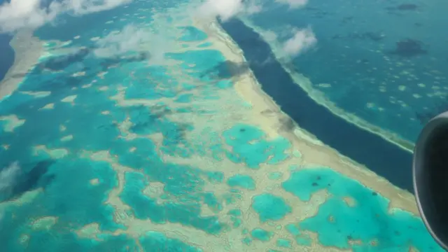 ग्रेट बॅरियर रीफ