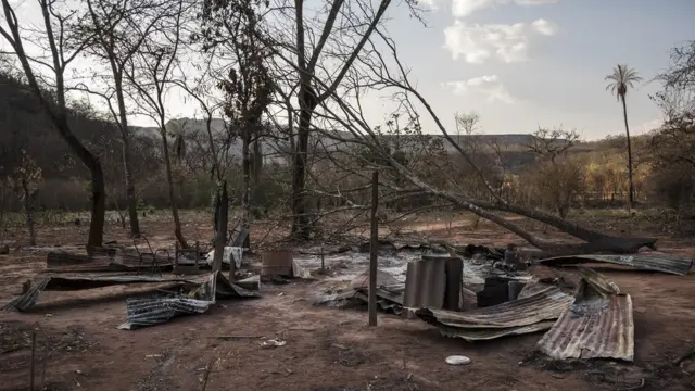 Palmira Peralta incendio en bolivia