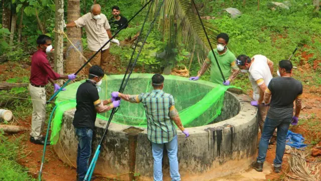 নিপাহ মোকাবিলায় কুয়োতে জাল ফেলে বাদুড় ধরার চেষ্টা। কেরালা, ২০১৮