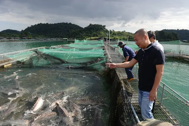 Việt Nam nằm trong nhóm tiêu thụ hải sản hàng đầu thế giới 