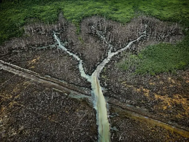 Vista aéreabanca betanocampobanca betanopetróleo