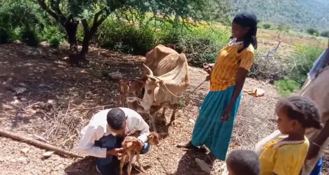 Saawwaa al tokkottii jabboota shan dhalte