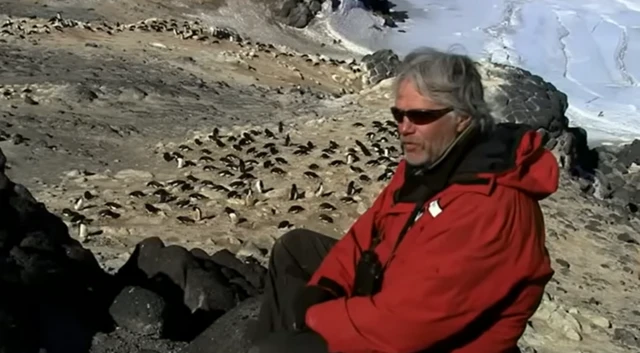 பென்குயின், விலங்குகள்