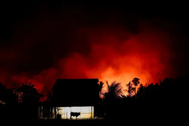 Foto noturna mostra uma casinha com um boi na frente. no fundo um clarão laranjacassino betano é confiavelum incêndio