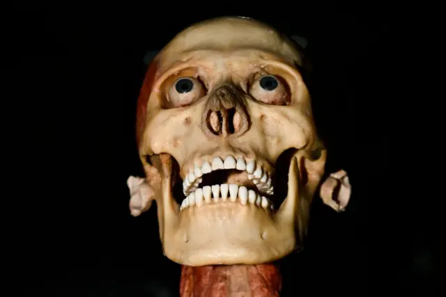 Lafeewwan dhala namaa qorannoof oolu