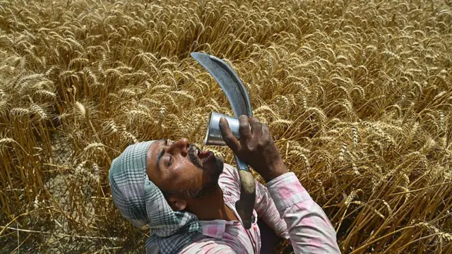 ਸੰਕੇਤਕ ਤਸਵੀਰ