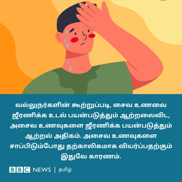 வல்லுநர்களின் கூற்றுப்படி, ஓர் உணவை செரிமானம் செய்வதற்காக உடல் பயன்படுத்தும் ஆற்றலின் விளைவாக வெப்ப விளைவு ஏற்படுகிறது. சைவ உணவுகளில் கிடைக்கும் புரதத்தைவிட, அசைவ உணவுகளில் கிடைக்கும் புரதம் செரிமானம் ஆகும்போது வெப்ப விளைவு சற்று அதிகமாக இருக்கும்.