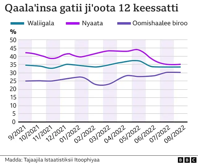 Qaala'iinsa gatii Itoophiyaatti