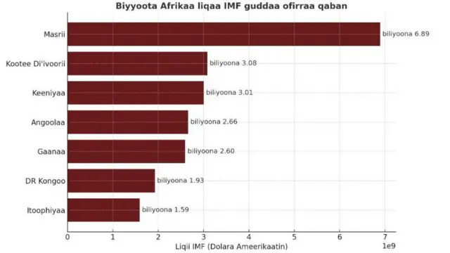 Biyyoota Afrikaa liqaa deebisuu qaban hin deebisne tartiibaan-Ragaa IMF baaatii Sadaasaa bara 2025 baase irraa kan fudhatame