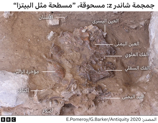 الكشف عن وجه امرأة نياندرتال عمرها 75 ألف عام Bbc News عربي