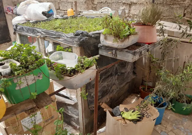 Sur la terasse du Quartier Vert