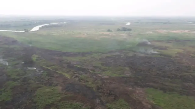 Estação ecológicabônus da betanoTaiamã, no Pantanal - foto mostra linha onde brigadistas impediram o fogo