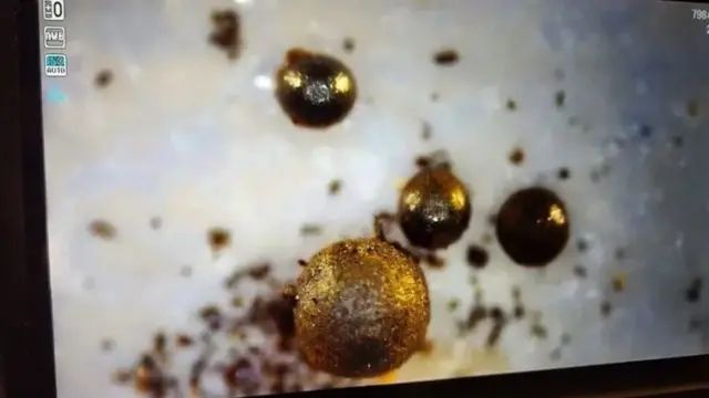 Leb i njegov tim sada imaju 25 sferula za koje sumnjaju da su potekle iz meteora IM1