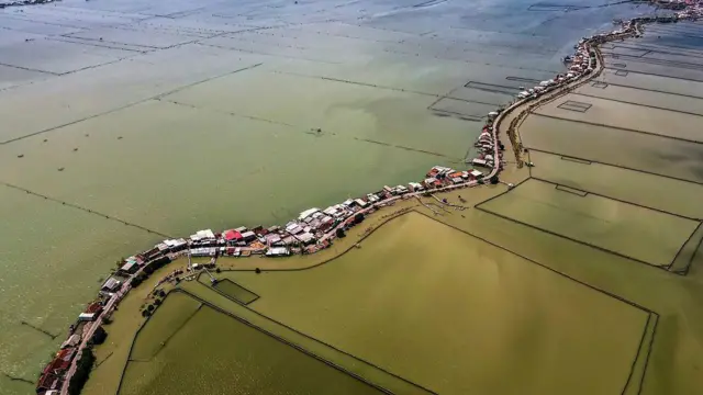 Foto ini diambil pada 30 Juli 2025 ini menunjukkan pemandangan udara rumah-rumah yang terendam sebagian akibat hilangnya lahan akibat perubahan iklim di desa Bedono di Demak, Jawa Tengah.