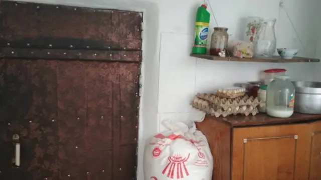 Видеодогу мас аялдын үйү