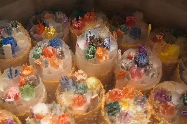 বীর্য সংরক্ষণ করা হচ্ছে -১৬৩ ডিগ্রি তাপমাত্রায় নাইট্রোজেনের মধ্যে রেখে