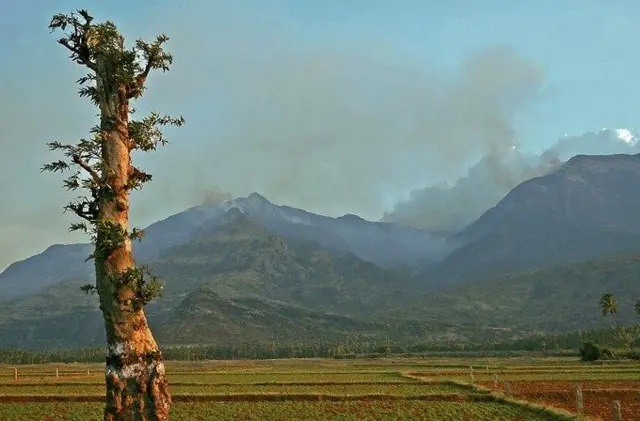 மாஞ்சோலை - குதிரைவெட்டி