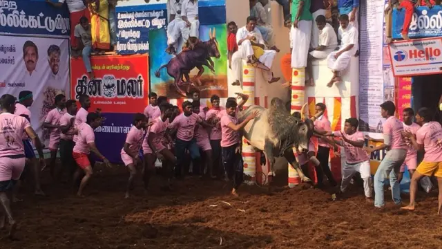 வாடிவாசலில் இருந்து துள்ளி குதித்து ஓடும் காளை