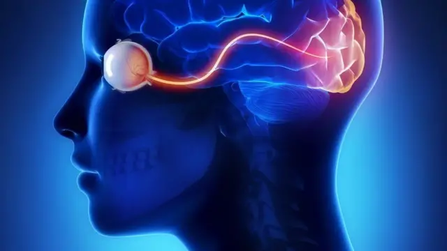 પ્રતીકાત્મક તસવીર