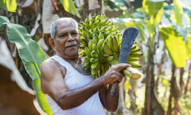 အိန္ဒိယ၊ သက်ကြီးရွယ်အို၊ ကာရဲလား၊ လူသူကင်းမဲ့တဲ့မြို့