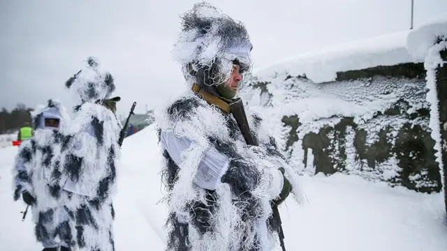 युक्रेनी सेना