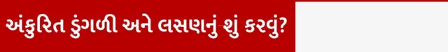 બીબીસી ગુજરાતી 