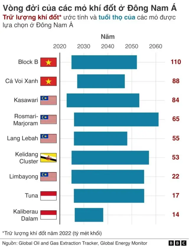 Vietnam oil project