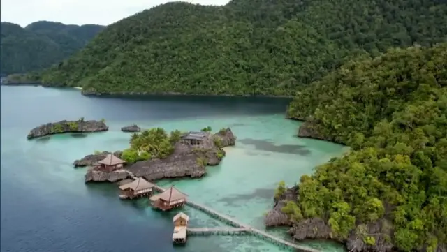 కాలుష్యం 