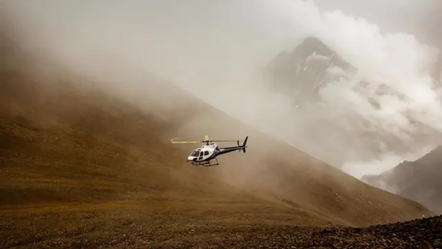 （图片来源：Vivien Cumming）