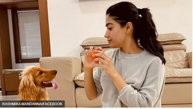 रश्मिका मंदाना 