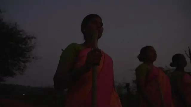 పులులు, భయం, చేతిలో కర్రలు